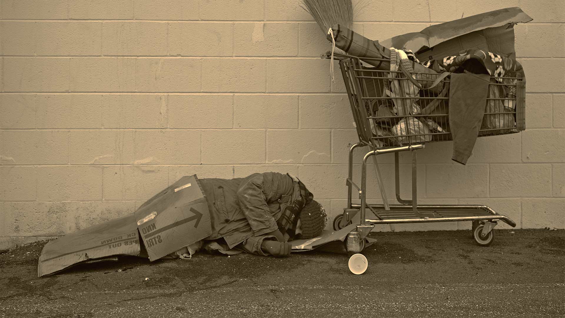 Homeless cart